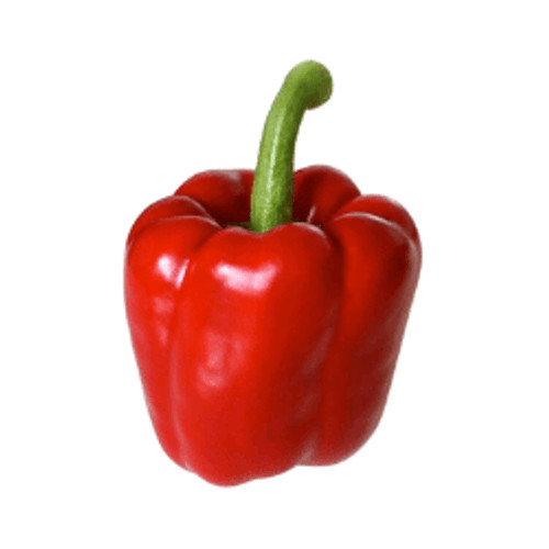 

Paprika Merah 250g oFresh Batam