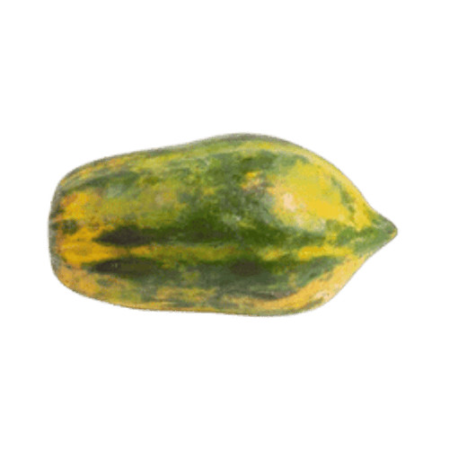 

Pepaya Lokal 1-1.2 kg oFresh Batam