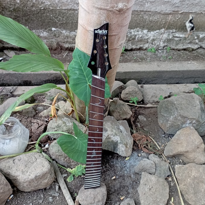 Neck Gitar Schecter Damien 7 String Multiscale