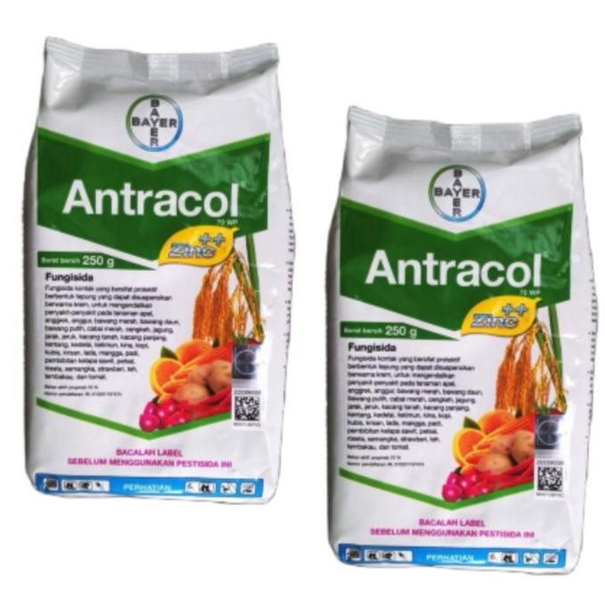 Antracol 500Gr Fungisida Antracol 70Wp 500Gr Terbaru Murah Produk