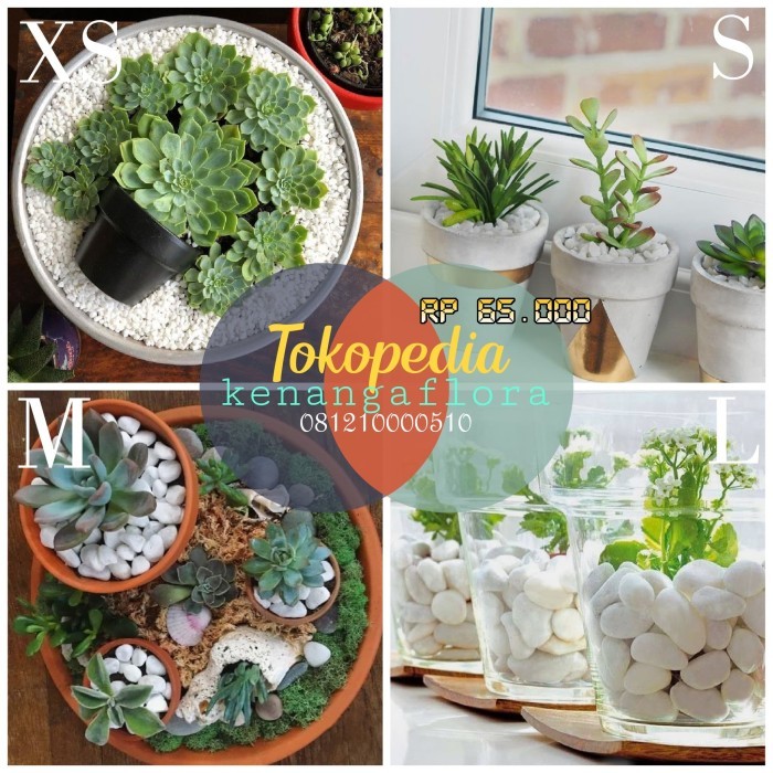 Batu Koral Putih Italy 10Kg