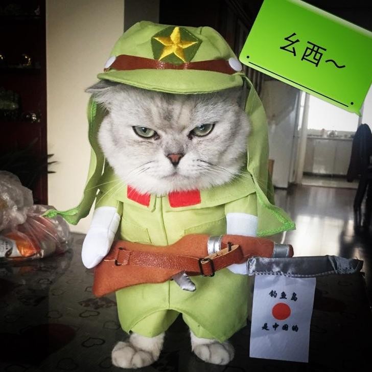 TG KOSTUM MILITER - Baju Hewan Kucing Anjing Policeman Unik Lucu Militer Korea