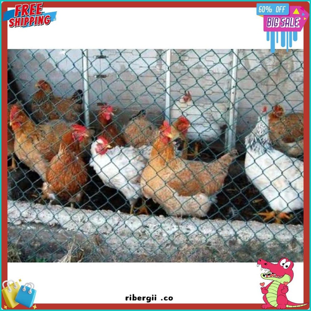 Jaring Ayam Tebal Lebar 1 Meter / Jaring Pagar Ayam / Jaring Kandang Ayam