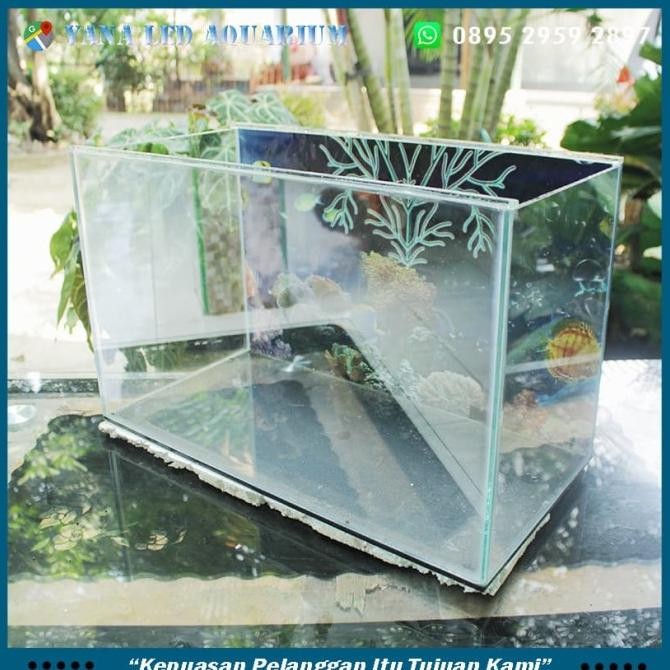 Aquarium/ Akuarium Kaca Kecil Bening 30cm x20x25 5mm Background TD