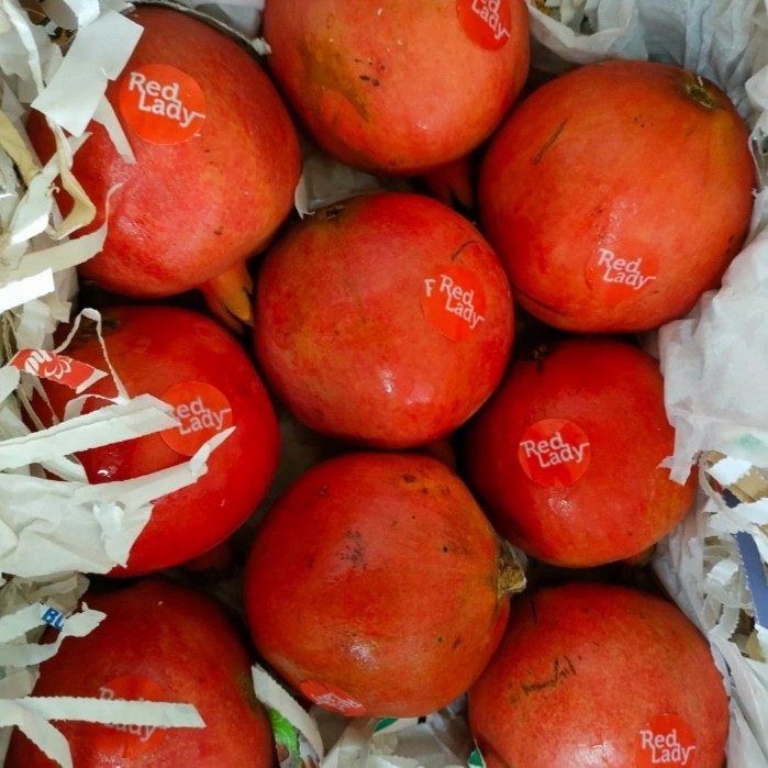 

BUAH DELIMA INDIA FRESH MANIS PER 1 DUS ISI (9) BUAH
