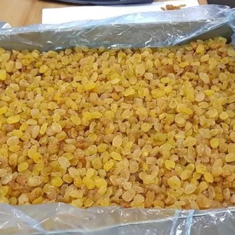 

GOLDEN RAISIN MUTIARA MANIS 1 KG