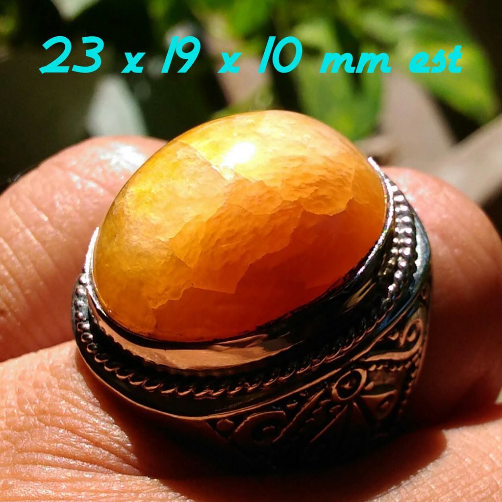 Pandan Nanas Sisik Bethok Golden Pineapple Top Kristal Bergradasi