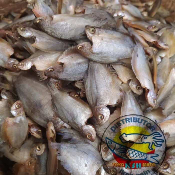 

IKAN ASIN SEPAT RAWA AIR TAWAR-1KG