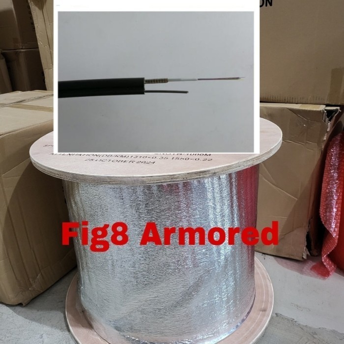 FIber Optic Kabel Fig8 12 core armored with jelly tube scrvision