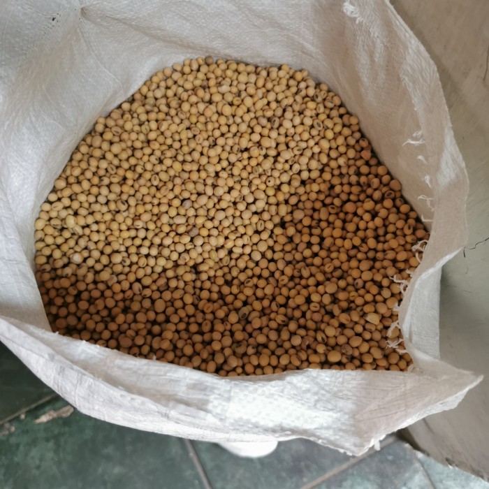 

KACANG KEDELAI AMERIKA SUPER BERSIH 1KRG 25KG KARGO