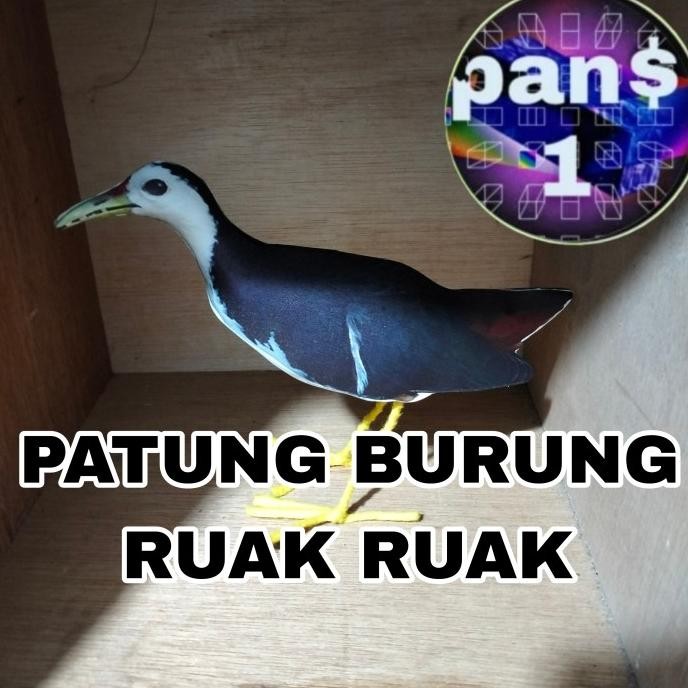 Terlaris PATUNG BONEKA BURUNG RUAK RUAK MIRIP ASLI SALE