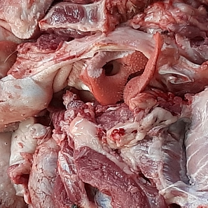 

BAGING BABI TANPA KULIT FRESH