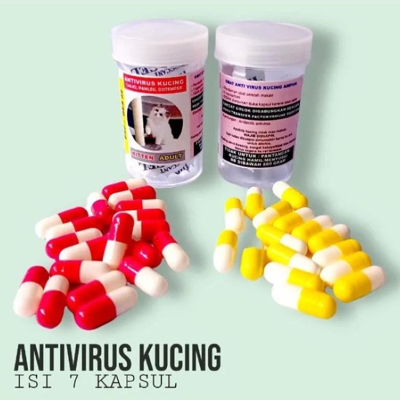 aq-54 KAPSUL AJAIB - Obat Virus Kucing Calici Panleukopenia Distemper  FIP Paling Ampuh Antivirus Ca
