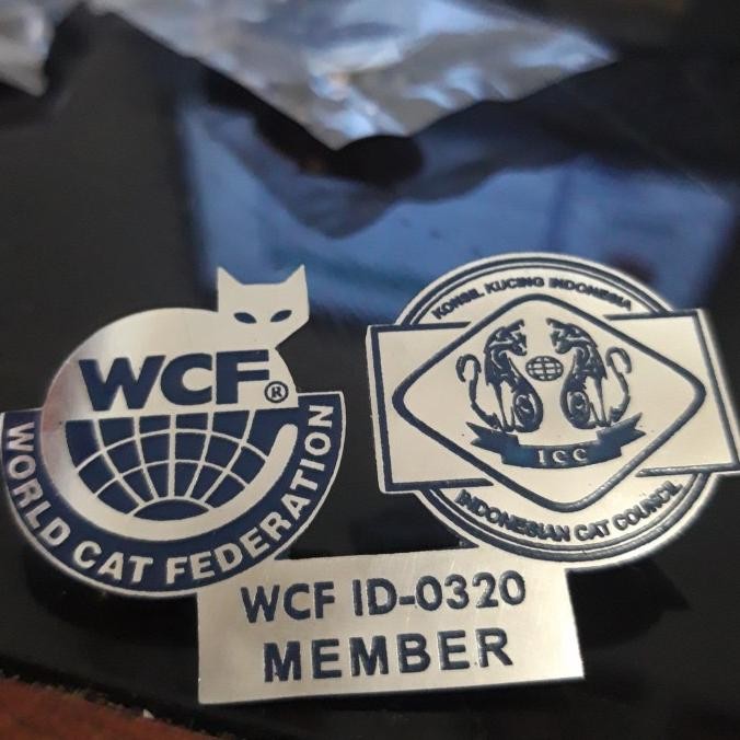 Sale Pin Logo/ Pin Custom/ Pin Design/ Pin Grafir/ Pin Stainless/Bros Logo