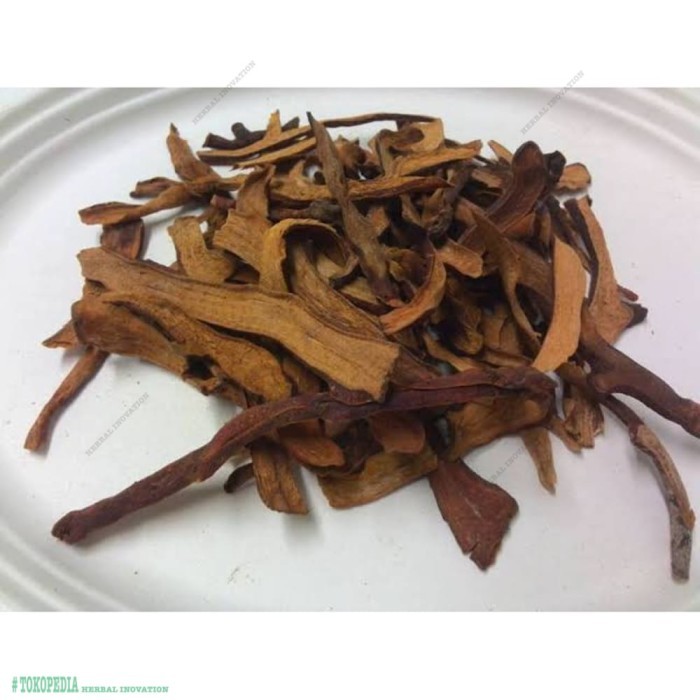 

100 G GR GRAM GU SUI BU FORTUNE DRYNARIA RHIZOME RHIZOMA DRYNARIAE