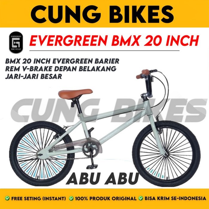 Sepeda Anak Laki BMX Ukuran 20 Inch EVERGREEN Barier 2 stang oversize
