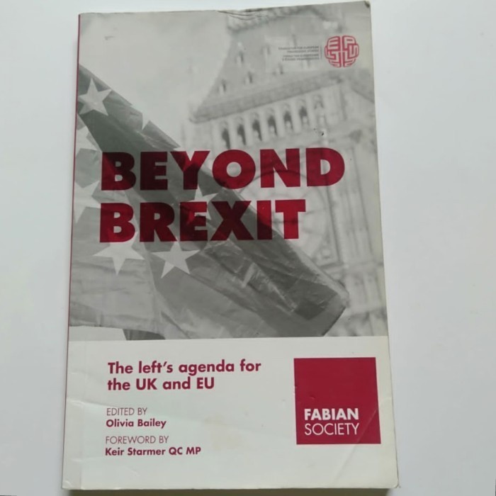 BEYOND BREXIT The left's agenda for the UK and EU - Olivia Bailey English Original