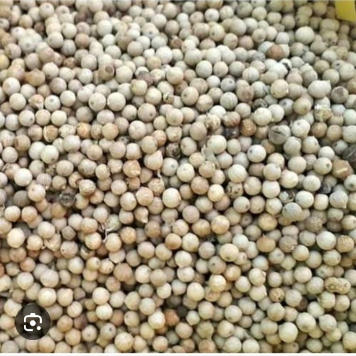 

BERMUTU Merica Lada putih Biji butuh 1kg/ 500gr premium white pepper
