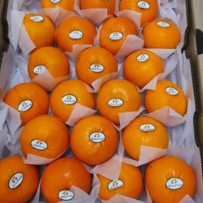 

SALE! BUAH JERUK HONEY MURCOTT YUJI 1 BOX