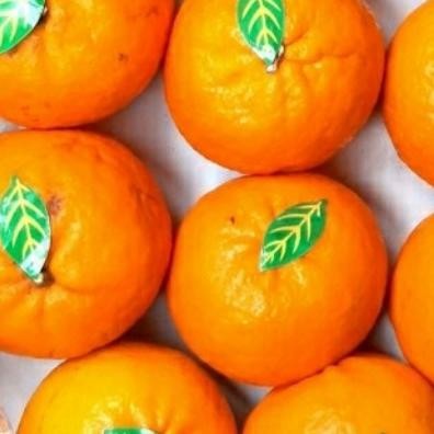 

SALE! BUAH JERUK WOKAM MANIS 1KG