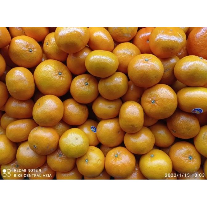 

SALE! JERUK HONEY MURCOT RRC PER KG