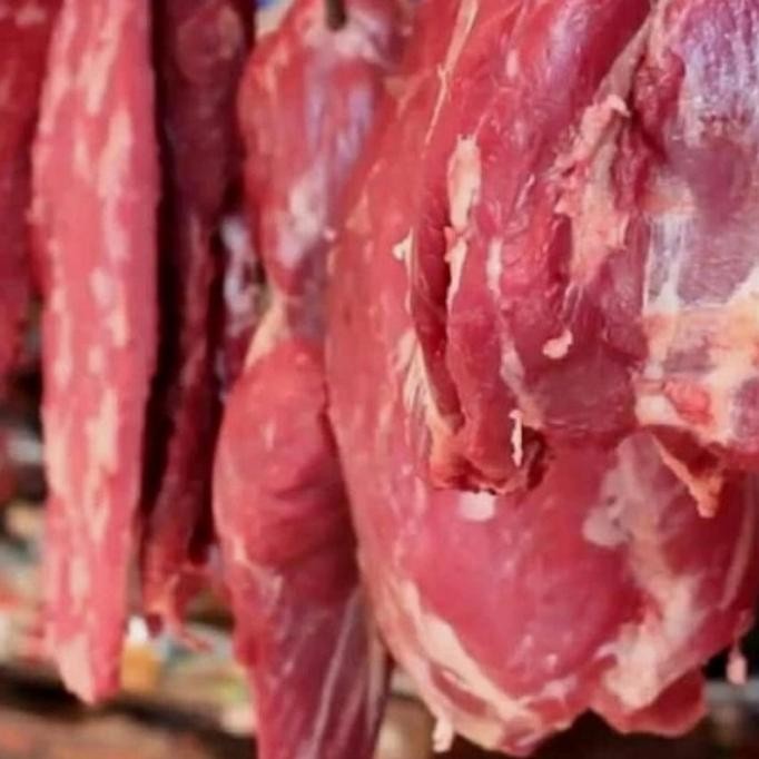 

daging kambing segar