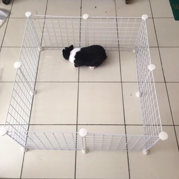 

C&C cage grid white colour 35 cm x 35 cm torto , guineapig and playpan