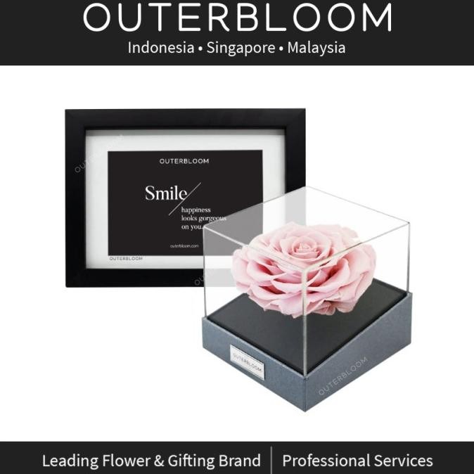 

Hadiah Valentine - Astoria Momento - Innocent Pink TP