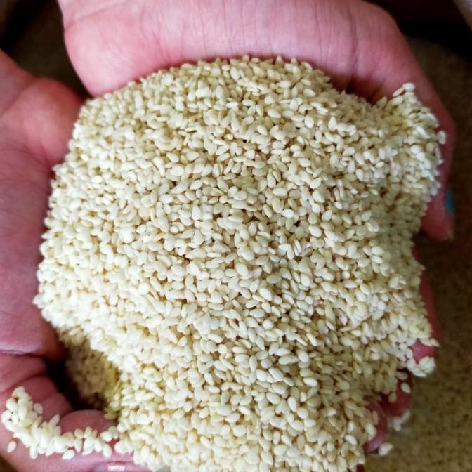 

THEO WIJEN PUTIH IMPORT 1KG 1KILO KUALITAS TERBAIK