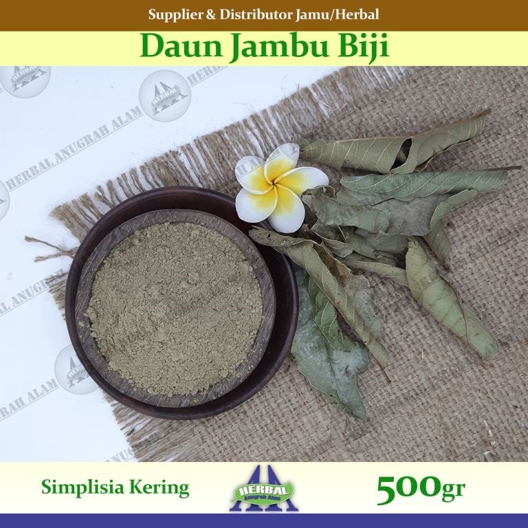 Daun Jambu Biji (Kering) 500Gr | Psidium Guajava | Klutuk - 100% Murni #Herbal