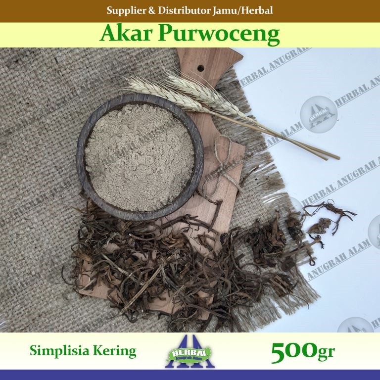 Akar Purwoceng (Kering) 500Gr - 100% Murni #Herbal