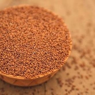 

Garden Cress Seed - Biji Selasih Merah - Obat Sakit Lutut Diabetes