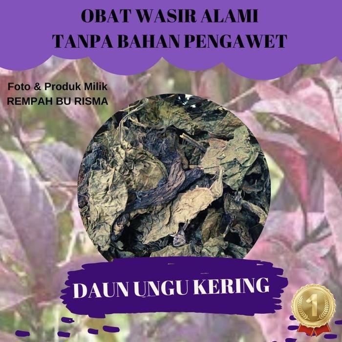 

Terbaru Daun Ungu Kering Obat Wasir Ambein 50 Gram Rempah Bu Risma Daun Herbal Kering