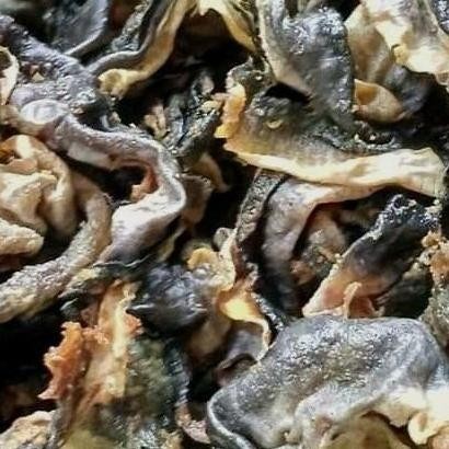 

Kerupuk Kulit Ikan Salmon Mentah Gurih Nikmat Kemasan 500 Gram