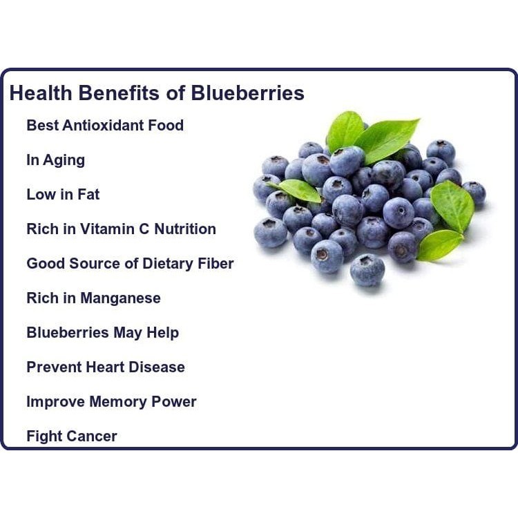 

ADR Dried Blueberry (Blueberi Kering) 100gr