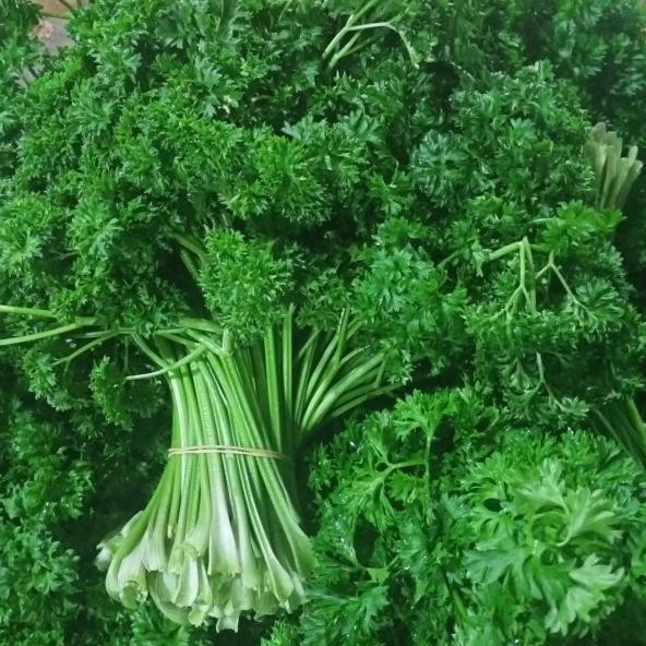 

Daun Parsley Atau Peterseli Segar 500Gr