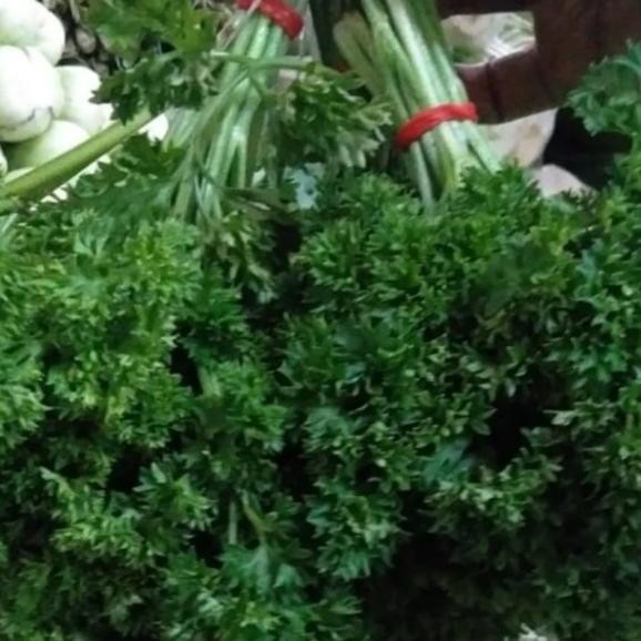 

Daun Parsley Segar Fresh 1 Kg