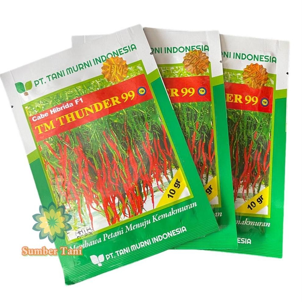 Super Gila Benih Cabe Kriting Tm Thunder 99 Cabe Hibrida F1 Benih Cabai We69