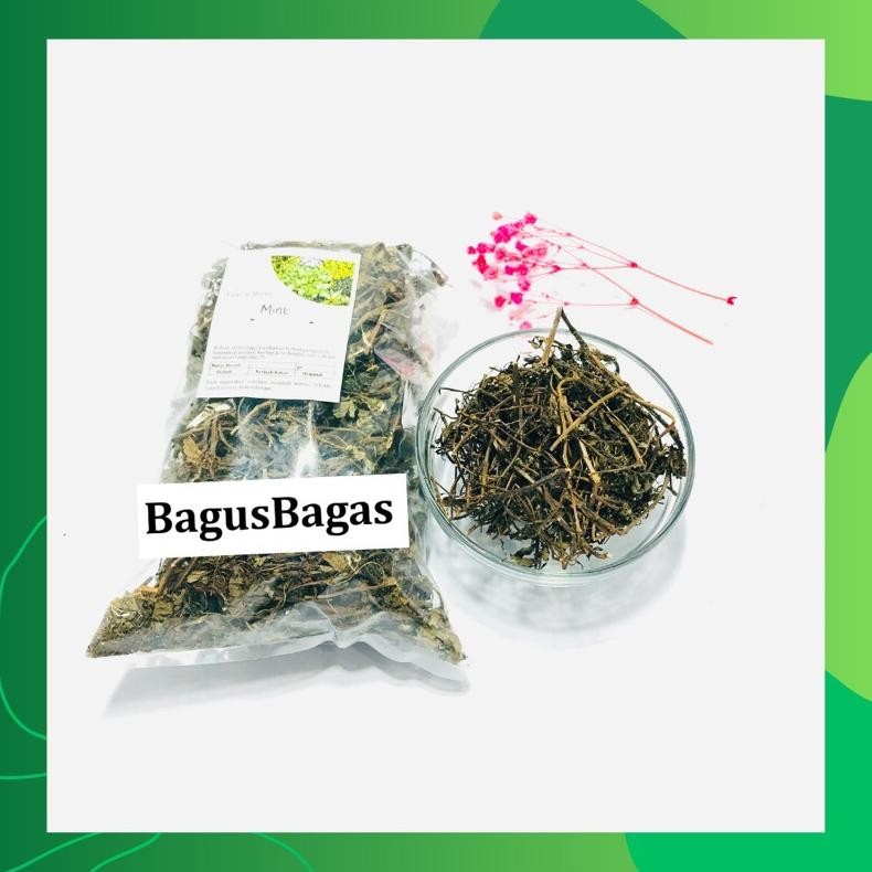 

Ready Order Aman Terbaik 50Gr Daun Mint Daun Pepermin Peppermint Murni Kering Herbal Tradisional Jsr Atasi Pilek Influenza Bau Mulut Alami Daun Herbal Asli Kalimantan Kualitas Tertinggi