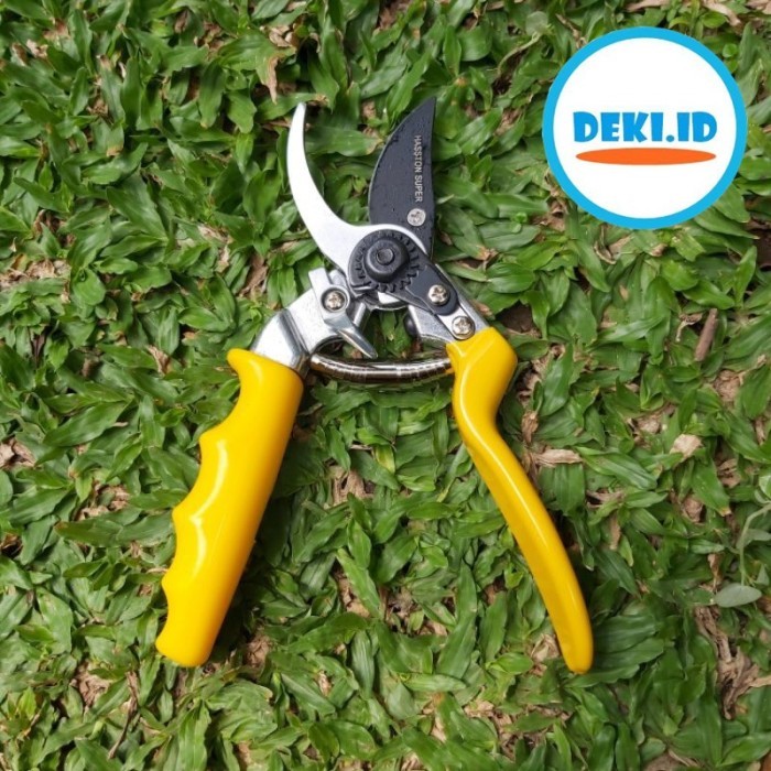 Terbaik Gunting Dahan Prohex Hasston 1350-119 Ranting Tanaman Bonsai Teflon