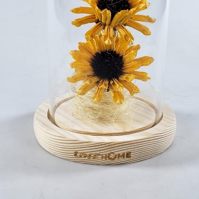 Lampu Hias Led Taffhome Th88 Bunga Matahari Dekorasi Sunflower Glass Dome Nuruldwiputri20