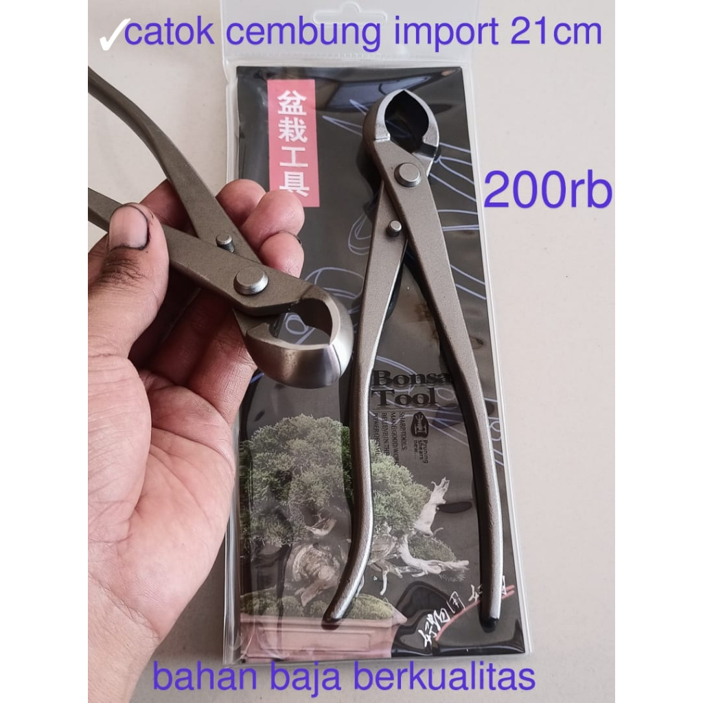 PANA Catok Bonsai cembung 21 cm Catut cembung tanaman bonsai