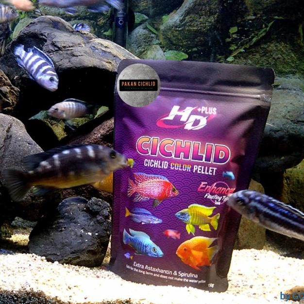 [Pakan Cichlid] Pelet Ikan Hd+ Cichlid Enhancer 500 Gr