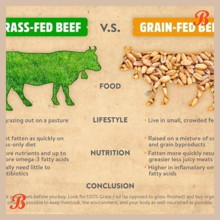 

| NN | GRASS FED BEEF FAT / LEMAK UNTUK TALLOW 500 GR