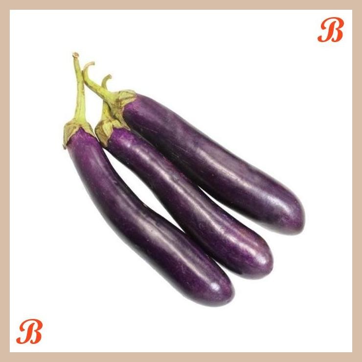 

| NN | TERONG UNGU ORGANIK 500GR