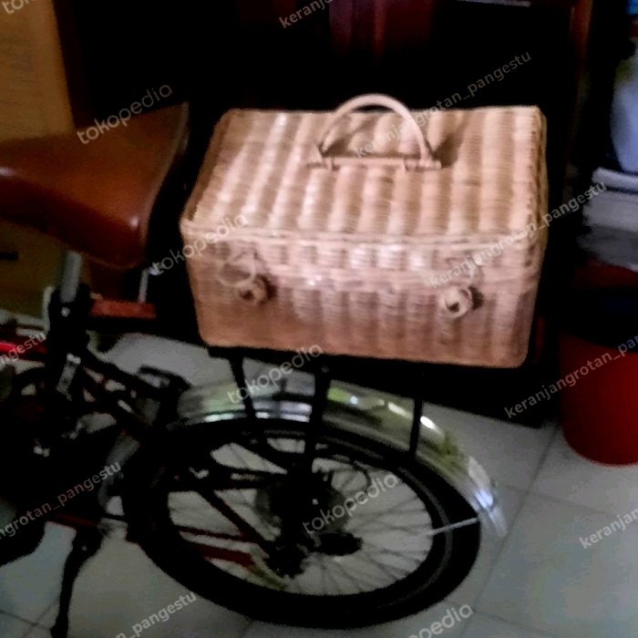 Keranjang Rotan/Keranjang Sepada, Motor