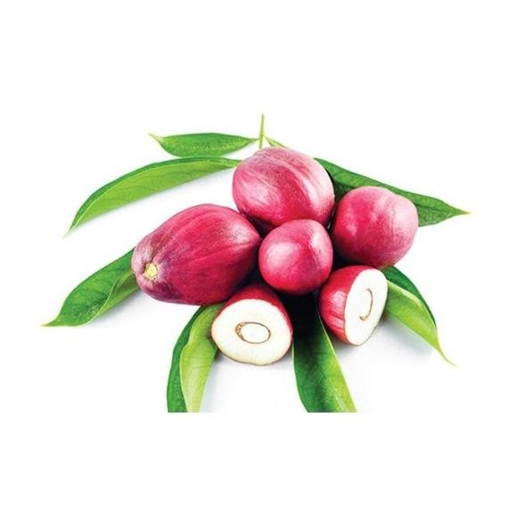 

Buah mahkota dewa segar organik 1kg siap petik ke kebun *