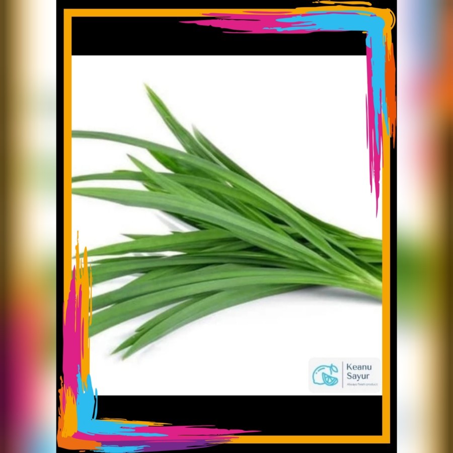 

daun pandan