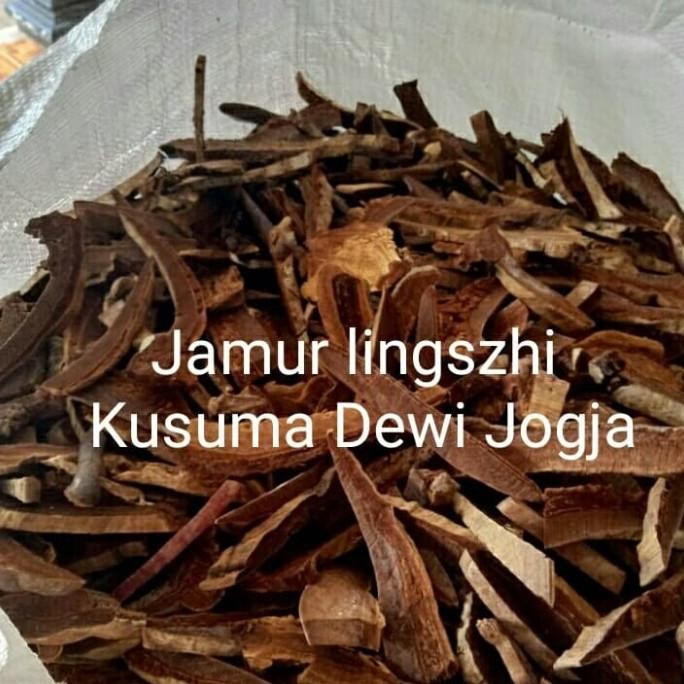 ~~~] Jamur Lingzhi Kering 1 kg