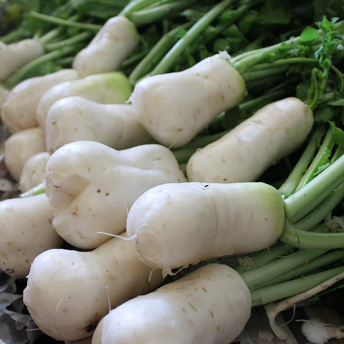 

Chonggak Kimchi 500G (Ponytail Raddish Kimchi / Bachelor Kimchi) Diskon